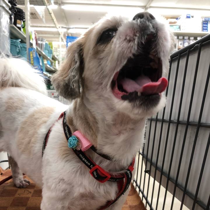 C984b661 1006 4d35 8bc1 3d104b79b547 1567633619254