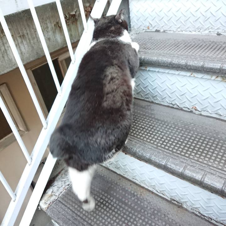 C984c395 fea8 4474 b866 880edd920c62 1643791010857