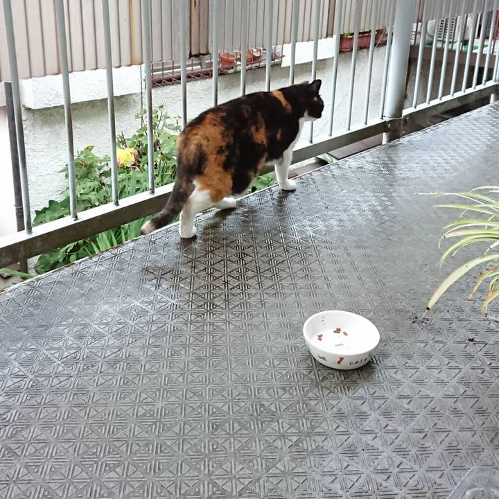 C984c58a 35de 4687 a181 e592af1806fc 1665734063794