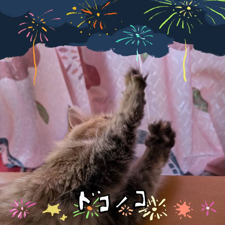 C984cfc4 0c5a 48ba 838e c479a5122a8f 1723225381345