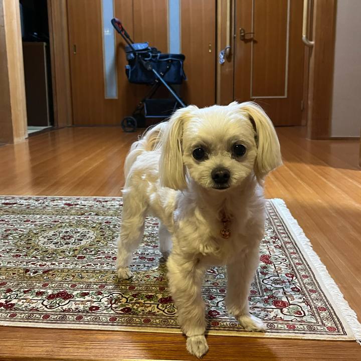 C9851577 4730 4e4a b963 11c5b513fa42 1697618358007