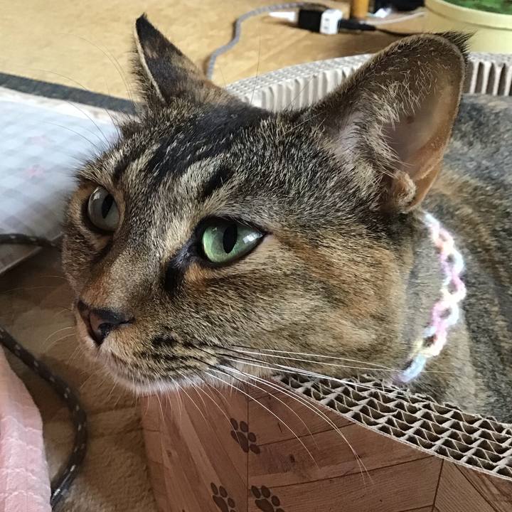 C985283e 0de2 47cb 86c9 5b2d31d37a57 1697705634265