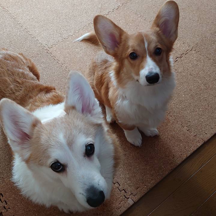 C9855027 553a 4047 860b 7199a918d7ef 1761980590865