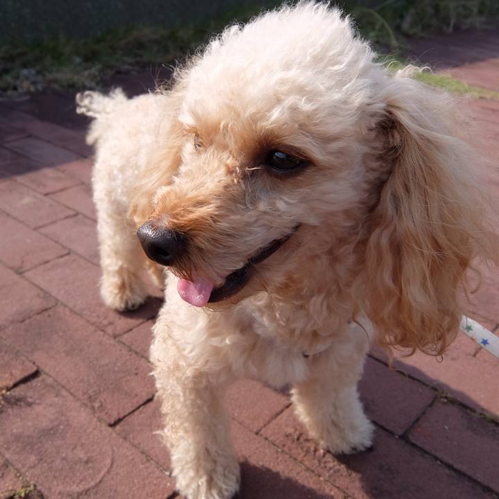 C9858421 af7a 49ee bb78 df9909020bdb 1559434061409