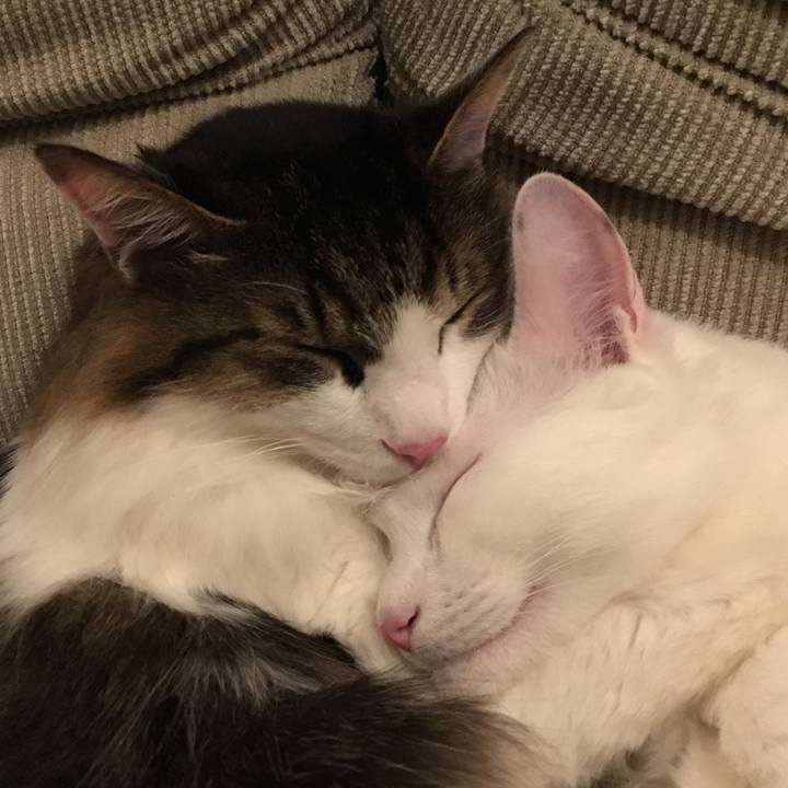 C985a367 abe5 4c05 b347 add9d30f5fa3 1514815024901