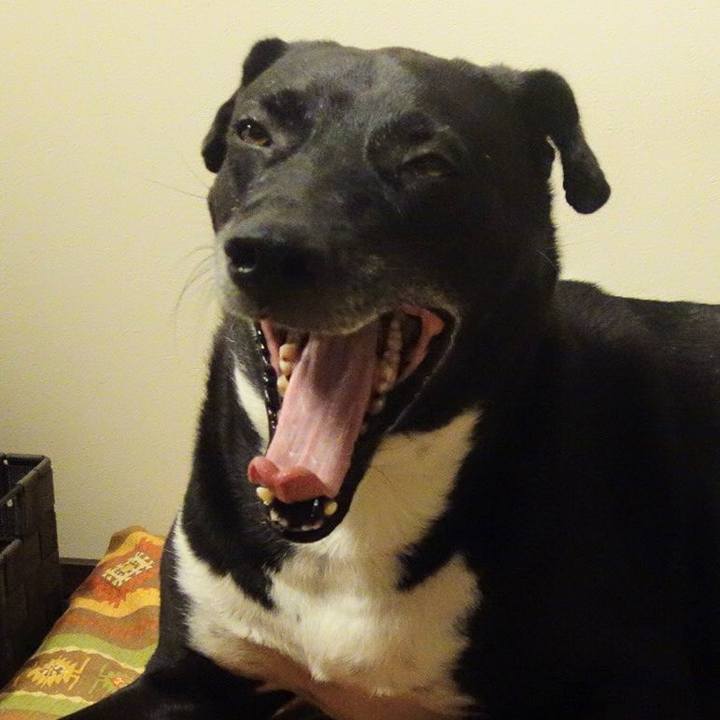 C985ad57 67a4 4a13 92f5 2b4393a9c1e9 1668508956733