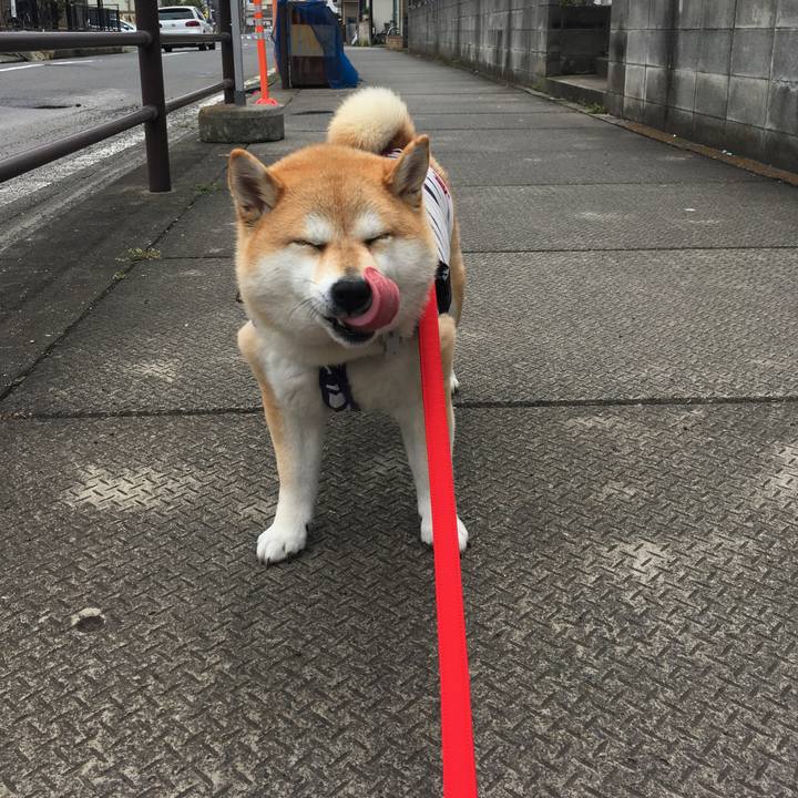 C985af19 f2cf 479d 9e00 a9a291a00149 1556688889902