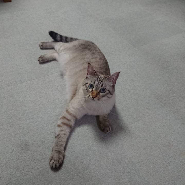 C985cbf4 a6ed 4eff a3c2 9f841ecfe309 1568033250854