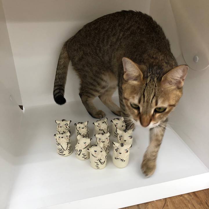 C9860d17 7465 467b 80ad 6653294bd940 1638950857469