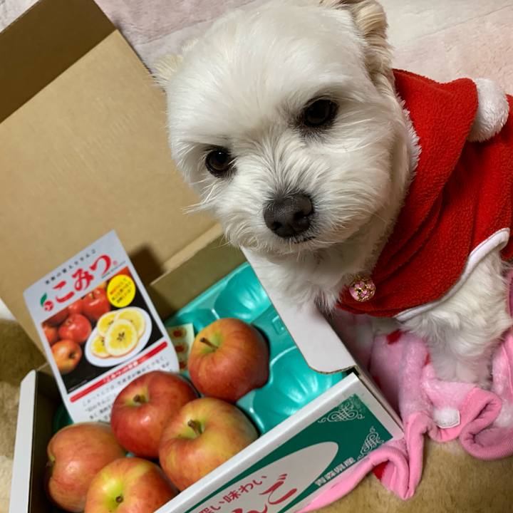 C9866f9b f182 4726 b2db c4bde0768177 1577172453761