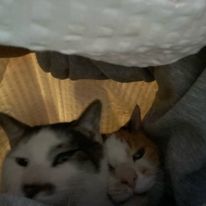 C986806e 856b 4aba 98eb 62d87d351bd7 1703084627894