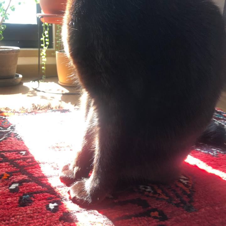 C9868296 09cb 4b16 98e1 7af349429f14 1647315316172