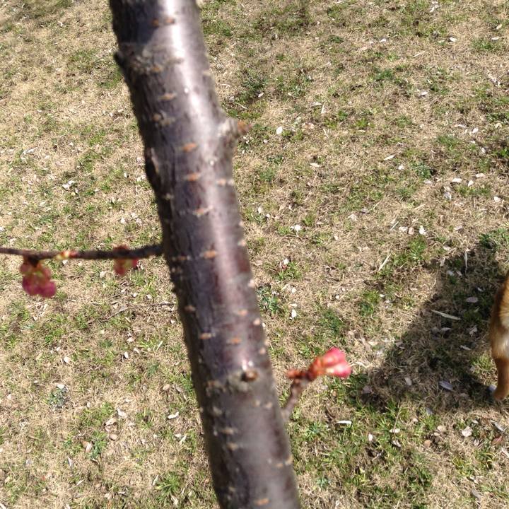 C98690e6 deb1 4a07 b402 3a567a1cdc73 1519968399984