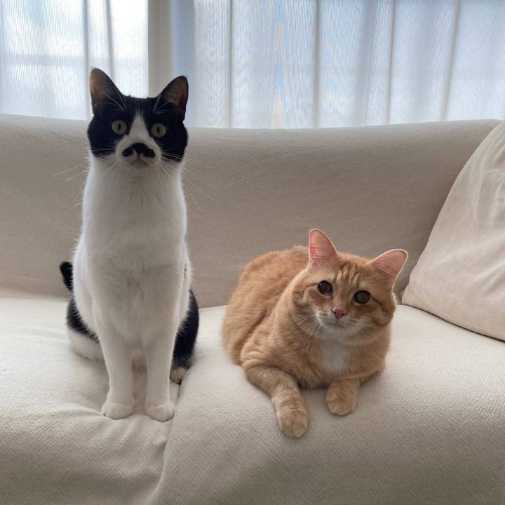 C98690f8 277a 4a68 bbe9 066d624fd8f7 1765409103502