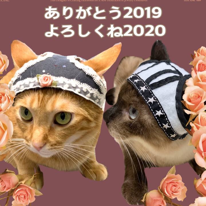 C986a5ca 062d 4504 a151 b54496abc1ce 1577760138489