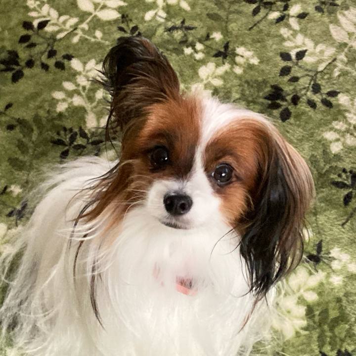 C986af34 688d 455c 9e8a 5d19ee878208 1638062408353