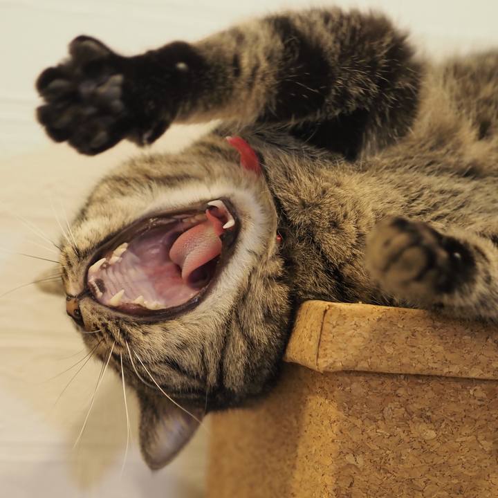 C986b3c4 39fb 4856 9568 e32cf6899bdb 1611576487559