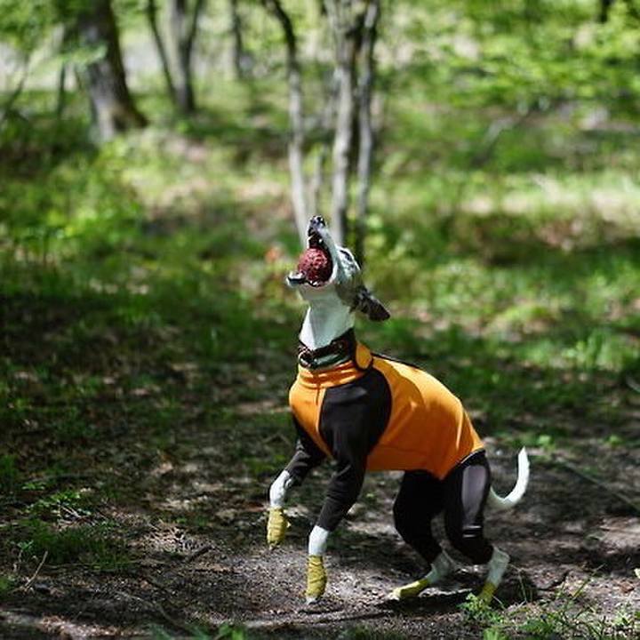 C986c0c0 a87a 43b4 b120 95351611edcc 1526996212097