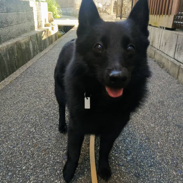 C986c112 ec66 4242 b76b 2f673346250c 1628372078759