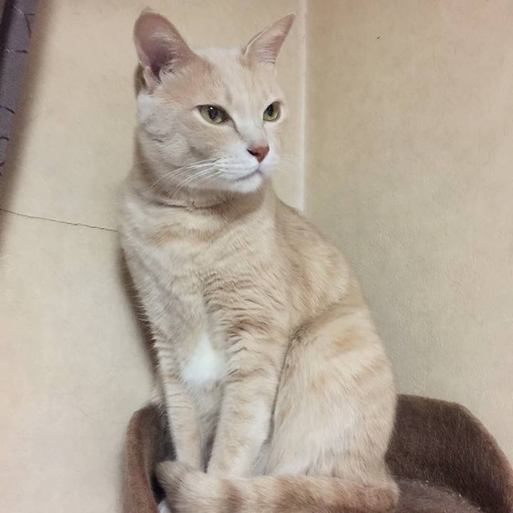 C986d698 5234 4e5f 82d7 5f2c37c23f3e 1547119964707