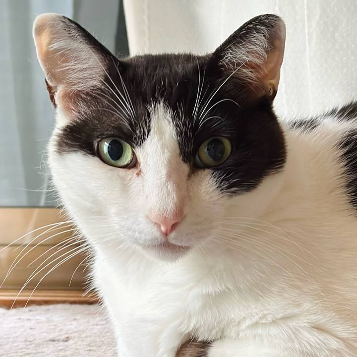 C9871331 8d3d 43f0 9f0f 48587b5e3fec 1690592137589