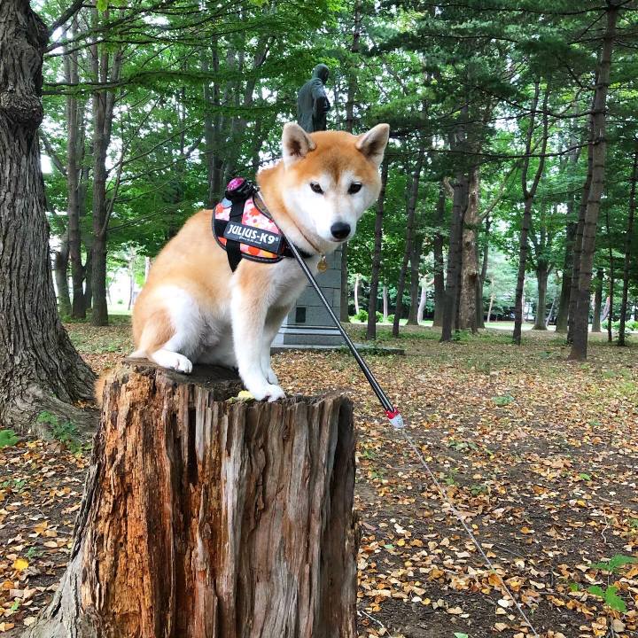 C9872560 5186 4590 a99b 4d029b140486 1598008224943