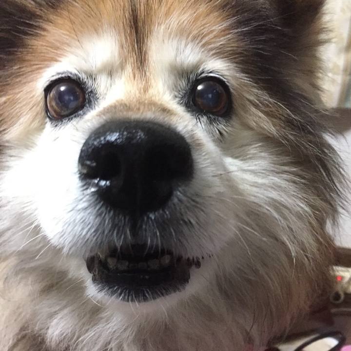 C98734f6 b840 474d b0a2 2b366e7ec2ad 1610413526301