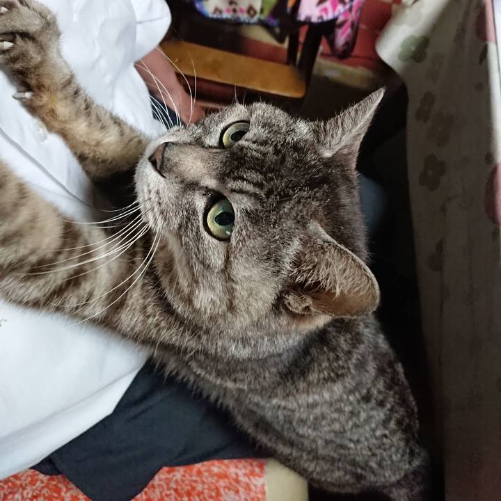 C9879538 9106 466a 99b4 dc3fdf3fe880 1557480544867