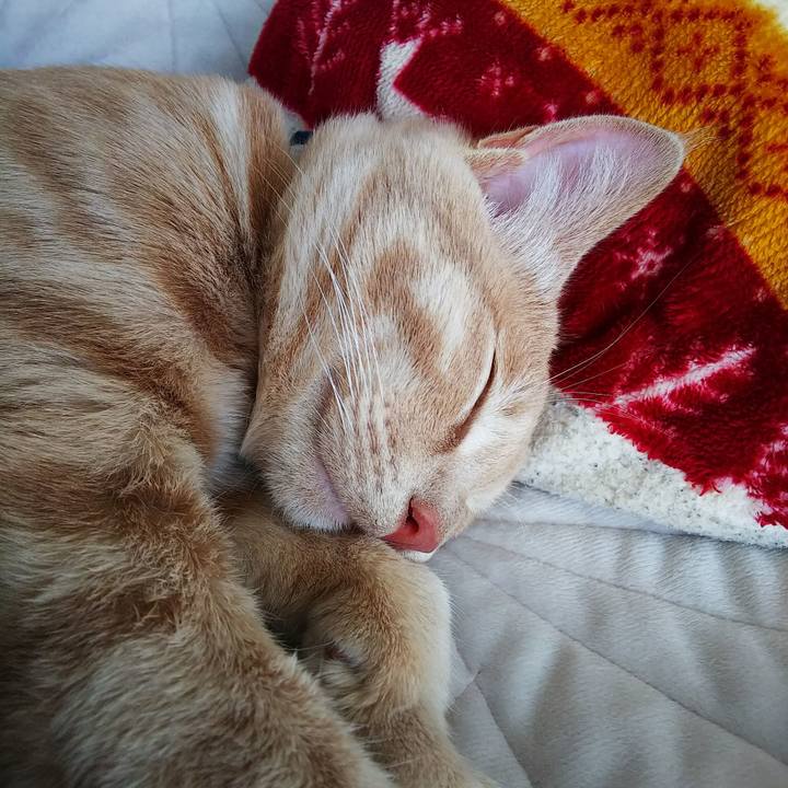 C987a2f7 9c66 4ec9 97d4 310f21aae22e 1547875576767