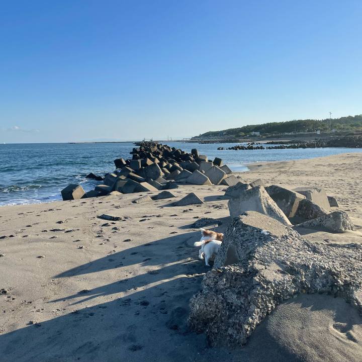 C987c4eb 6ff8 4a35 93ab 57318c5634af 1760486727042