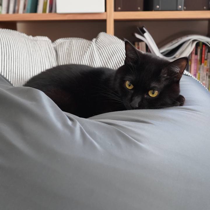 C988201a b706 4d96 a5d8 dfd76ffe0176 1610804236518