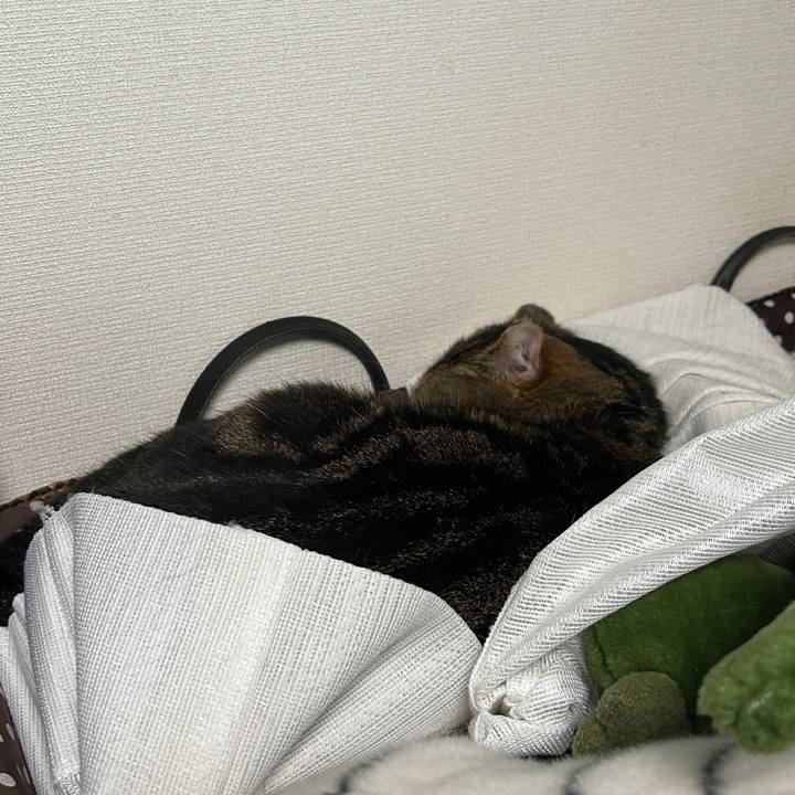 C9885c30 bf35 4ce5 ac66 de3b900929e0 1774735177347