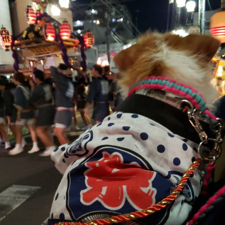 C988c439 006c 4a55 a188 af414bd74823 1567868106367