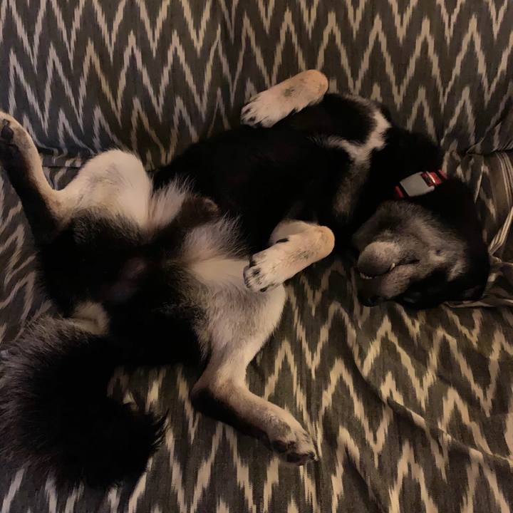 C988dedd 812f 4ccd bf90 efc9b4bc8ed6 1571246353660