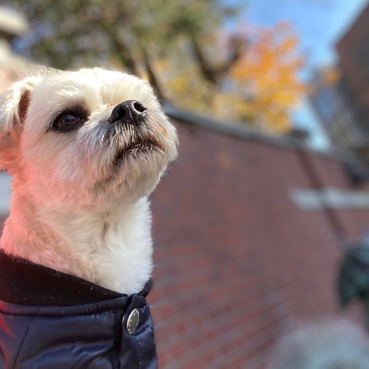 C988e1be 8bd5 475f 84d9 de66b740acb6 1576819199369