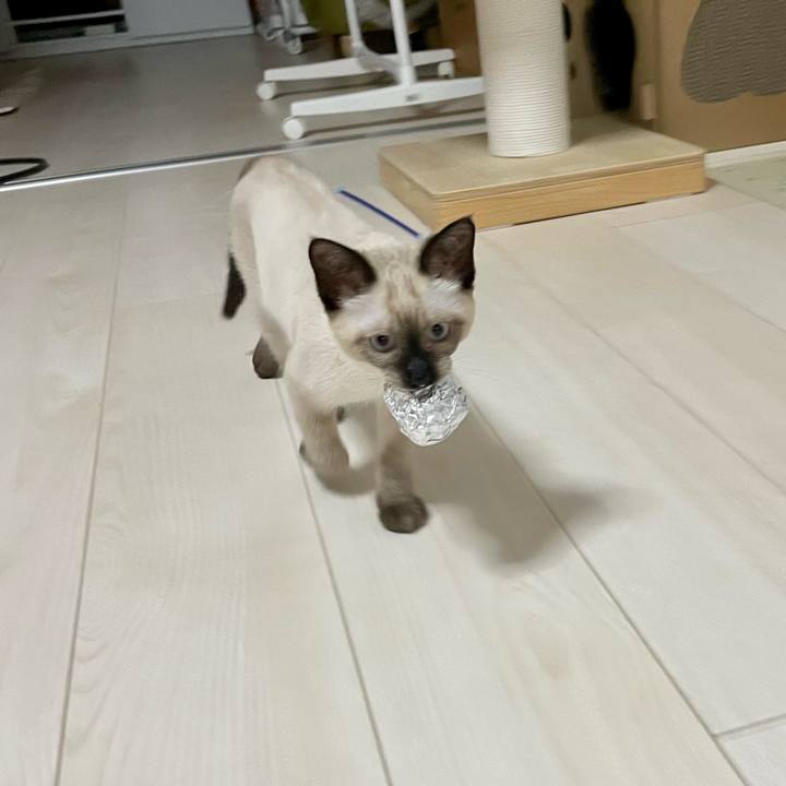 C988f8c9 a28a 4662 9dc9 67d598b71673 1691610766290