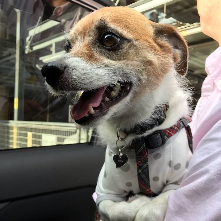 C98916fe 5404 455b 992a 759867e2796e 1559280607856