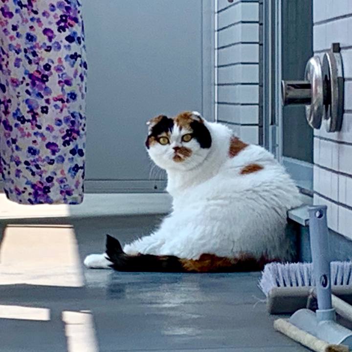 C9891898 aba5 461e ae51 839fda0bbe75 1562728472369