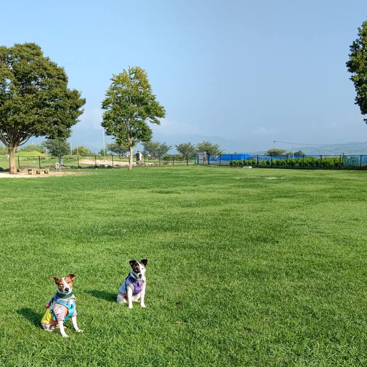 C98925a7 59a9 4f2c b165 f6a830da56f0 1691882747352