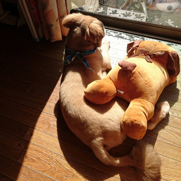 C9894c3f bab1 4a71 9c29 6aeda3c21fd2 1524183396212