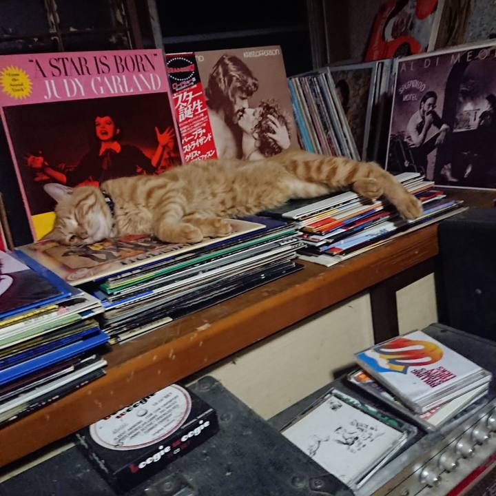 C9894ea2 713a 4b86 bb06 342eb3f02c37 1660137690391