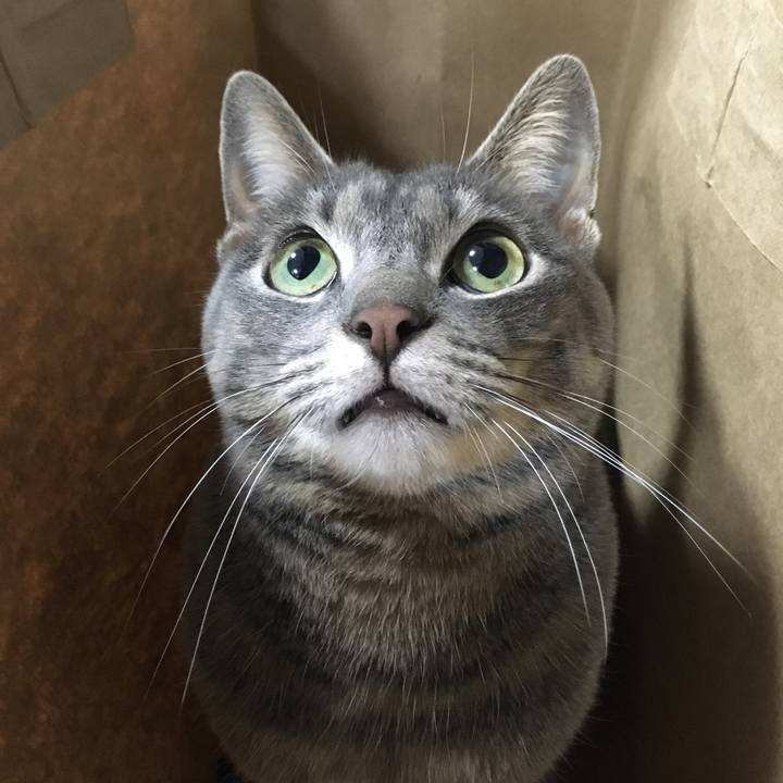 C989cf90 4a3c 488c 91b9 17d820588309 1512394435598