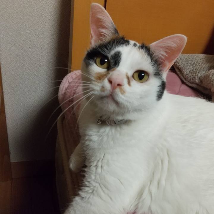 C989d378 1cb8 4abe a496 d8e82c63d9eb 1647437571538