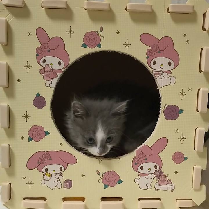 C989dedb 7a70 4738 9aa2 e9f8da380c57 1560069007789