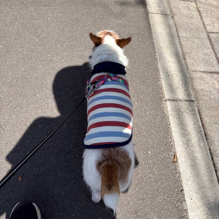 C989e69e 1d8e 44b2 8230 1a4d117b2bb7 1751156822330