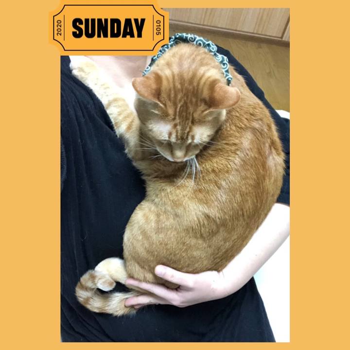 C98a10ca f3ac 47e2 8dda f97b3a0a5297 1578218502874