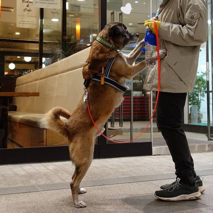 C98a169d d045 4931 a9ea 6c203d0a2532 1513507822674