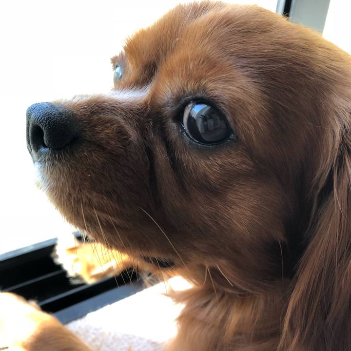 C98a1d47 fe09 42d5 bf13 00de4d779eaf 1531087485241