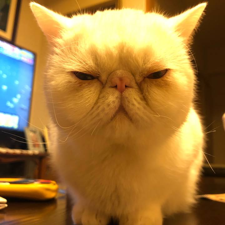 C98a2095 d45e 4c16 a083 81c13318935b 1611311032665