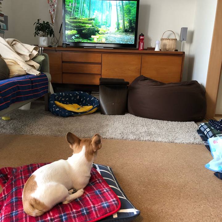 C98a2c40 05b3 48e4 8d16 38a2a148d691 1550272686625